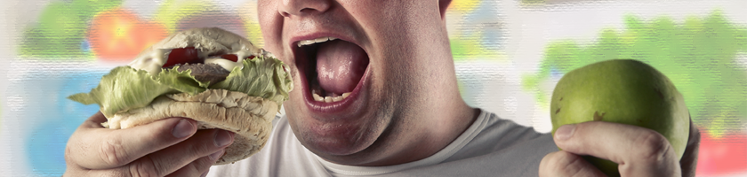 Motivación, Coaching y Aprendizaje Nutricional con "El Plan de Tu Vida"